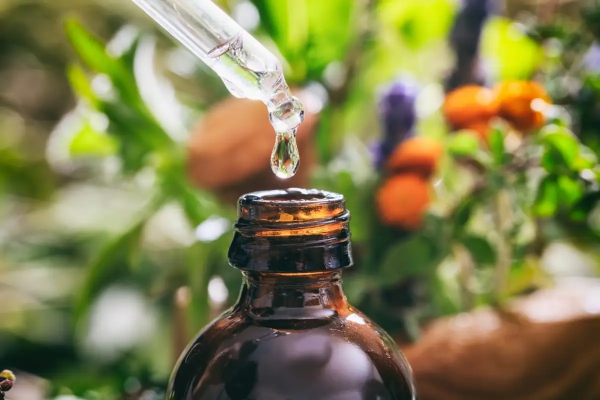 باکوچیول (Bakuchiol): جایگزین طبیعی و ملایم رتینول